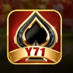 y71
